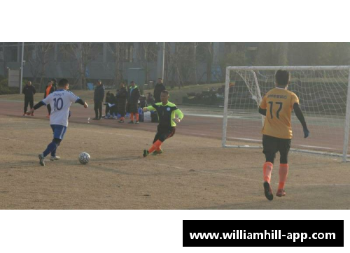 韩国足球担架：历史、演变与文化