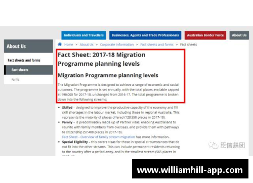 意甲联赛外籍球员配额政策及其影响分析