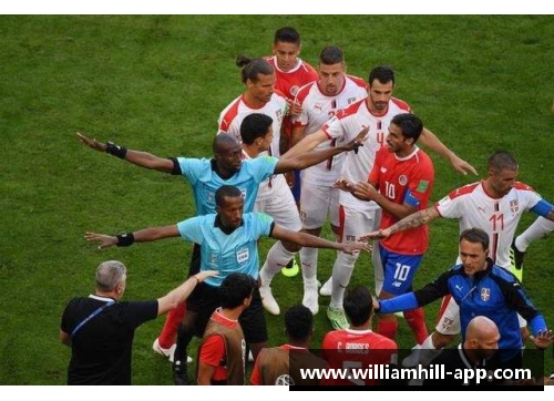 足球场上的裁判与球员：纠纷与合作