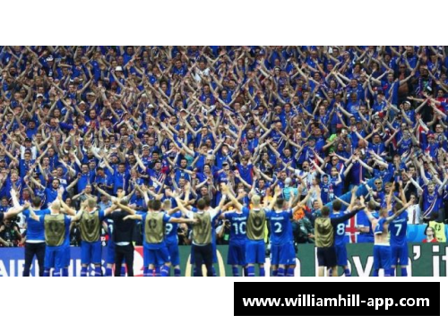 冰岛足球：一个小国之力，全球舞台的新焦点