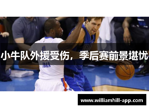 小牛队外援受伤，季后赛前景堪忧