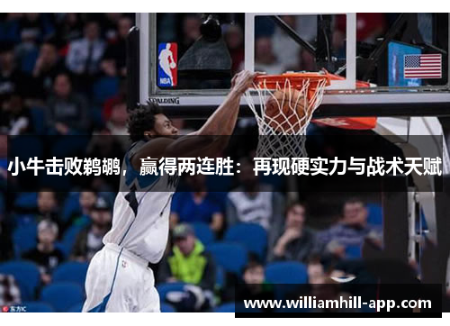 小牛击败鹈鹕，赢得两连胜：再现硬实力与战术天赋